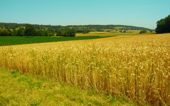 Landschaft bei Réclère 